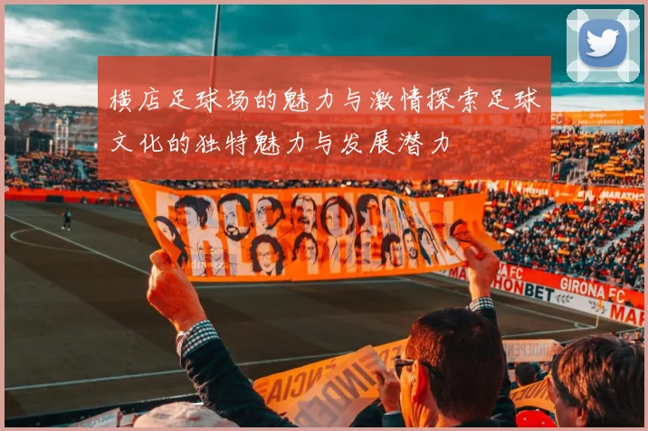 横店足球场的魅力与激情探索足球文化的独特魅力与发展潜力