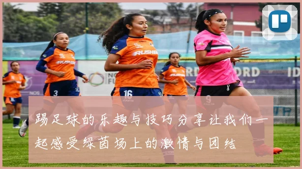 踢足球的乐趣与技巧分享让我们一起感受绿茵场上的激情与团结