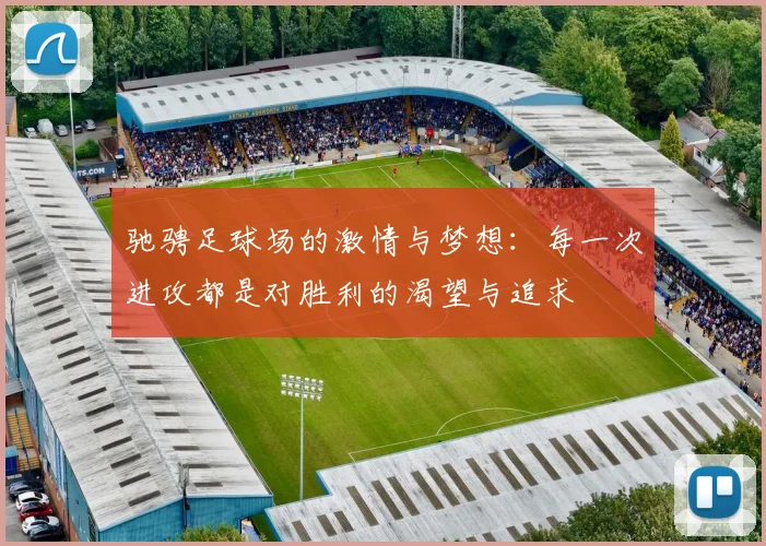 驰骋足球场的激情与梦想：每一次进攻都是对胜利的渴望与追求