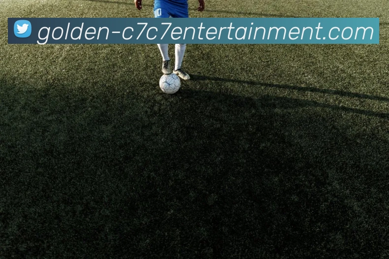 C7娱乐品牌故事